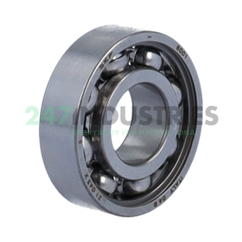 6001 SKF
