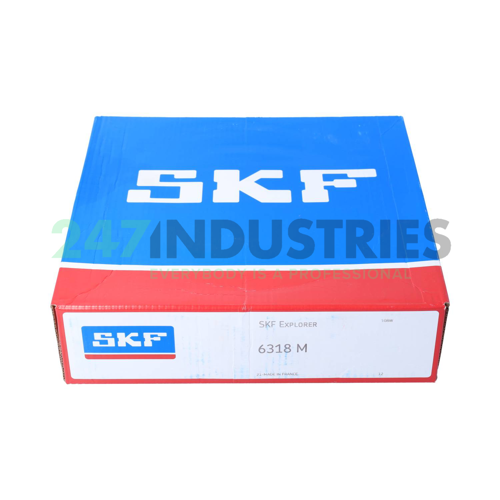 6318M SKF Image 3
