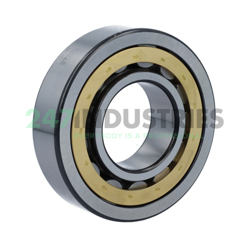 NU309ECM SKF Image 3