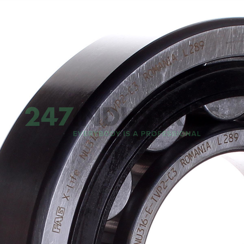 NU316E.TVP2.C3 FAG Image 2