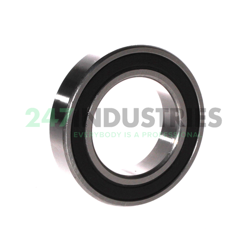 6009 2RS ZKL Image 2