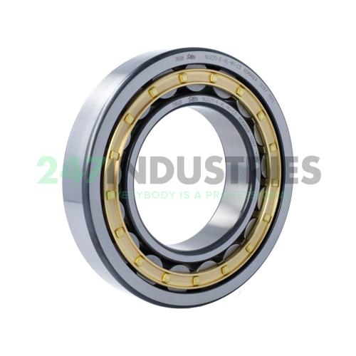 NU220-E-XL-M1-C3 FAG