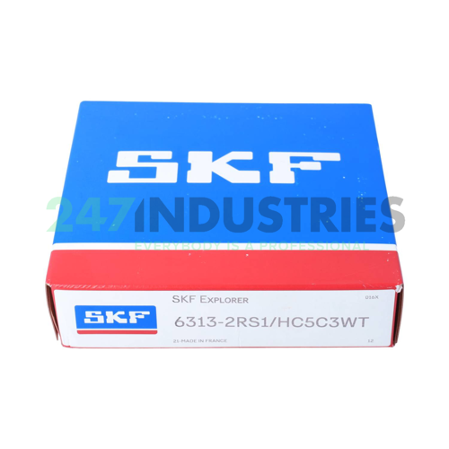 6313-2RS1/HC5C3WT SKF Image 3