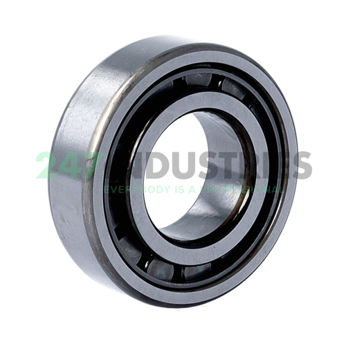 NJ205EWC3 NSK Image 2