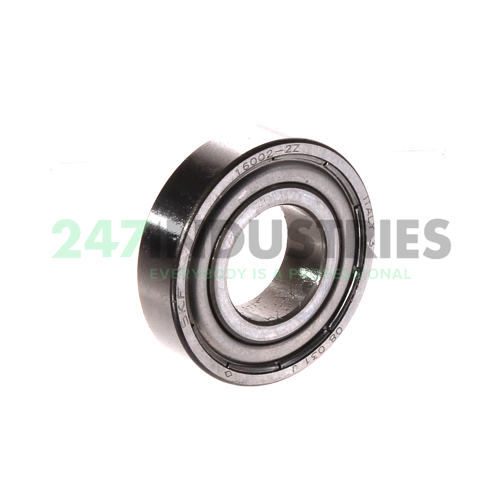 16002-2Z SKF