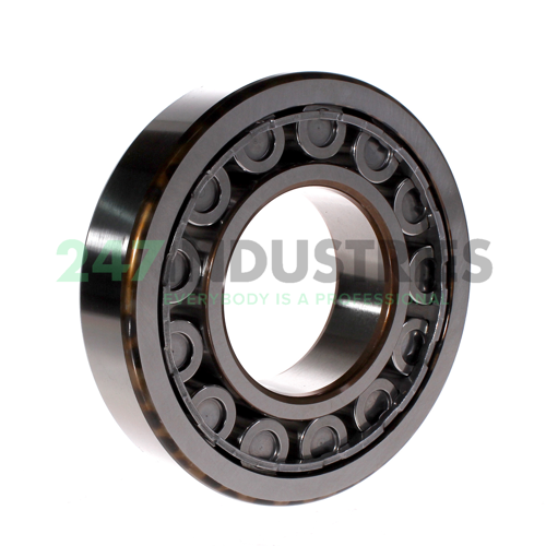 NU318ECJ SKF Image 2