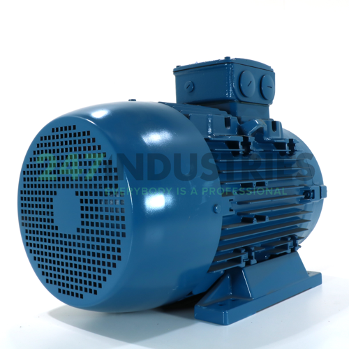 30K32AL3200M/L2B3 WEG Image 4