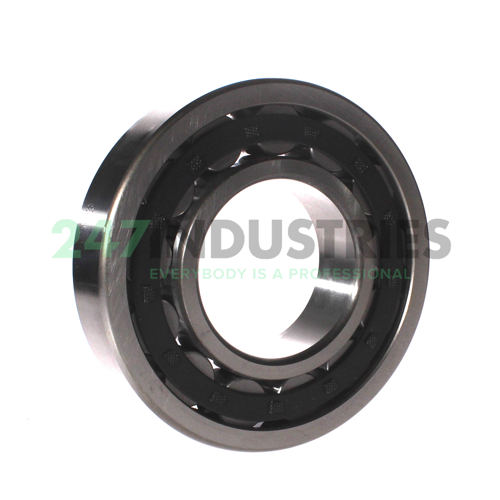 NU318E C3 FBJ Image 2