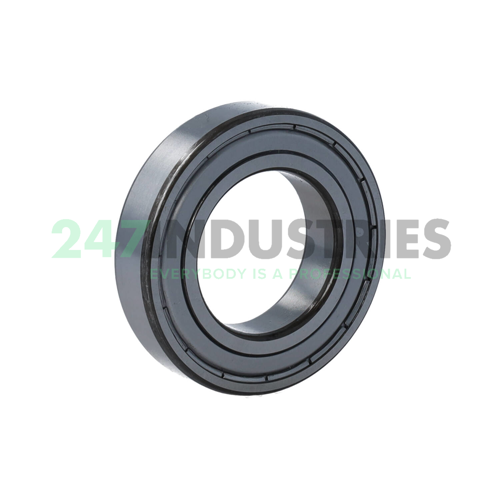 6007-2Z/C3WT SKF Image 2