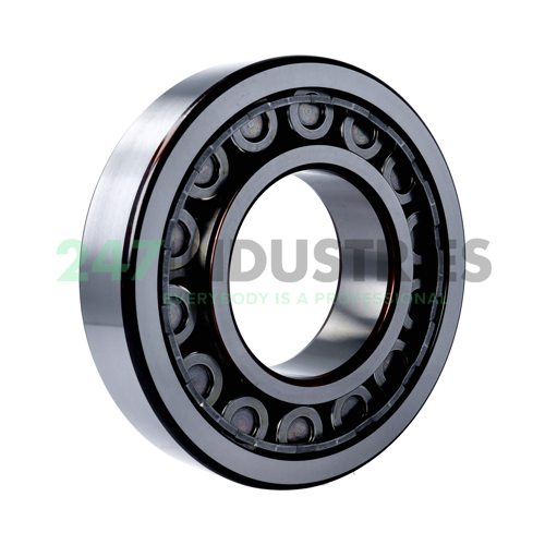 NU319ECJ SKF Image 2