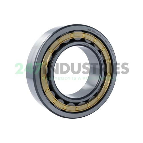 NJ2220-E-XL-M1-C4 FAG