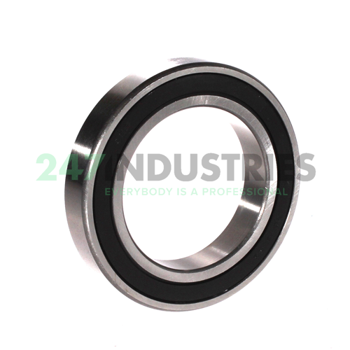 6013 2RS ISB Image 2