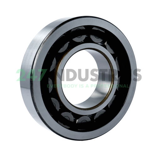 NU316ETC3 NSK Image 2