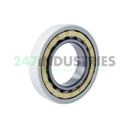 NU213-E-XL-M1-F1-J20AA-C4 FAG Image 2