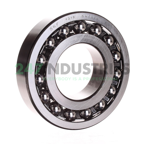 1316 SKF