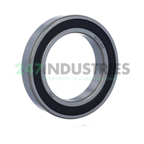 6013 2RS FSY Image 2