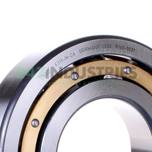 6319-M-C4 FAG Image 2