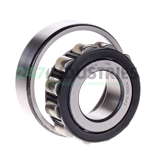 N306E.TVP2 FAG Image 2