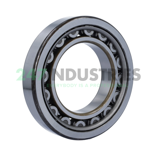 NU217WC3 NSK Image 2