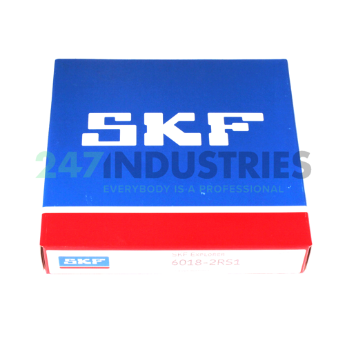 6018-2RS1 SKF Image 3