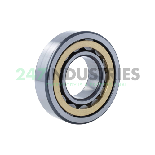 NU310-E-XL-M1-F1-C4 FAG Image 2