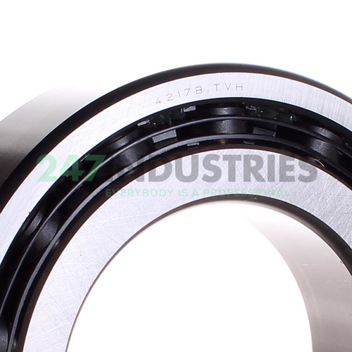 4217B.TVH FAG Image 2