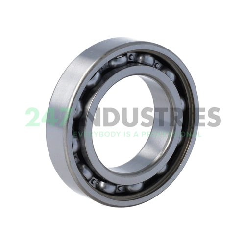 6008-RSR FAG Image 2