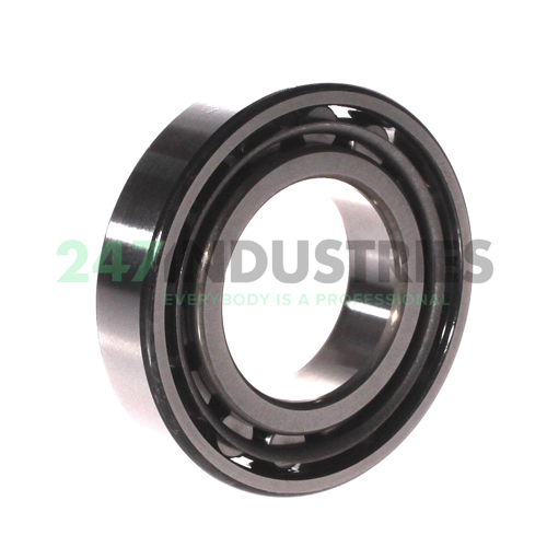 N209W NSK Image 2