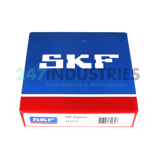 21317E SKF Image 3