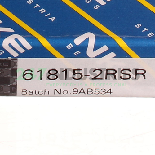 61815-2RSR NKE Image 5