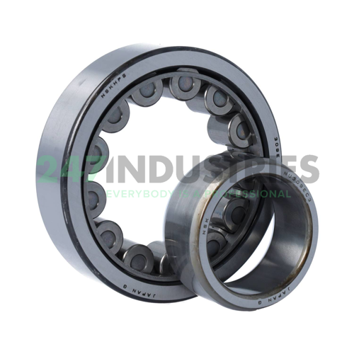 NU309EWC3 NSK Image 3