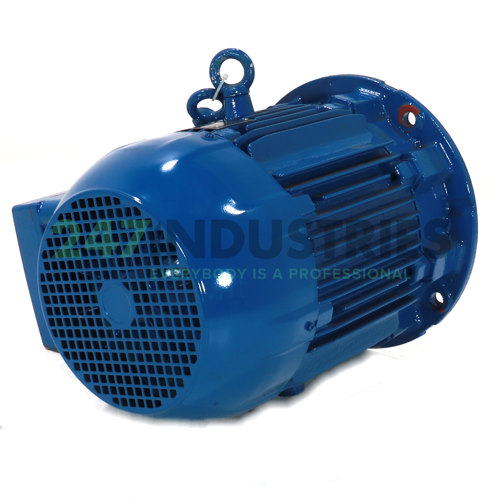 5.5K32AL1132S2B5EX2G WEG Image 3