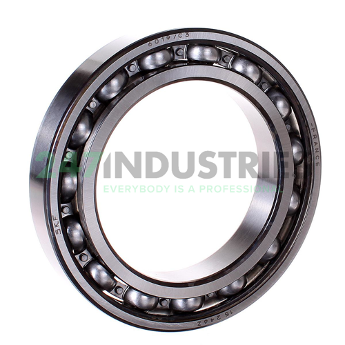 6019/C3 SKF