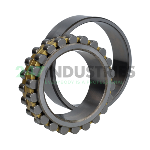 NN3011K P51 R20.25 NA ZKL Image 2