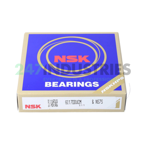 6017DDUCM NSK Image 3