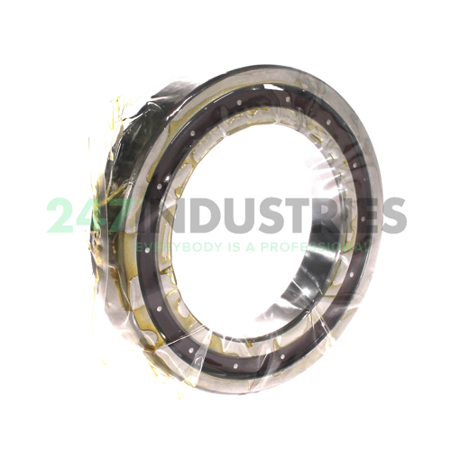 6018T CG12 P4 NSK Image 2