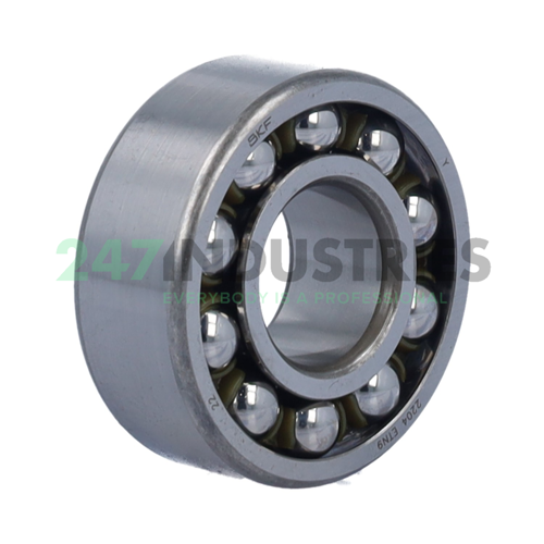 2204ETN9 SKF