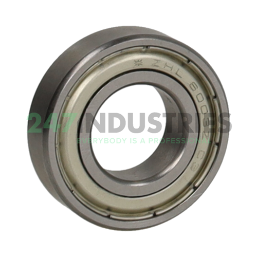 6003-2Z-P6-L077-HLT-R FAG Image 2