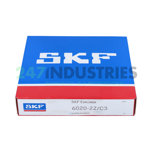 6020-2Z/C3 SKF Image 3