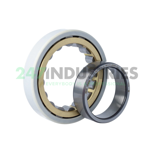 NU213-E-XL-M1-F1-J20AA-C4 FAG Image 3