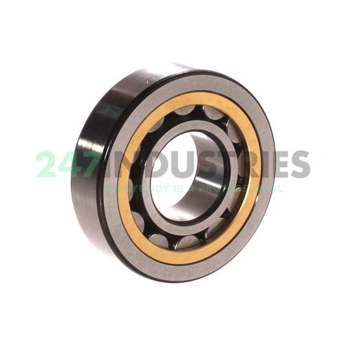 NJ306ECML SKF Image 2