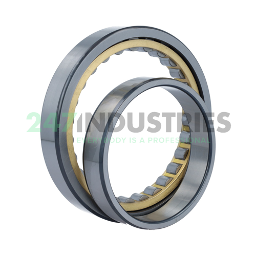 NU1020-XL-M1-C4 FAG Image 3