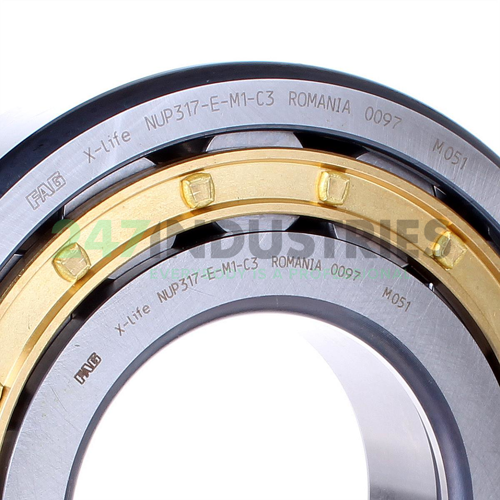 NUP317-E-M1-C3 FAG Image 2