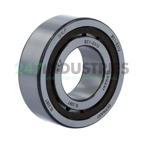 BC1-0313 SKF