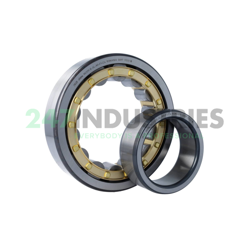 NU319-E-XL-M1-F1-C4 FAG Image 3