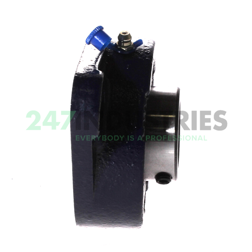 MSFT1.1/4 RHP Image 2