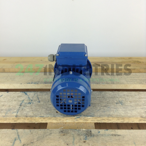 MS6314B35 Gibbons Image 5