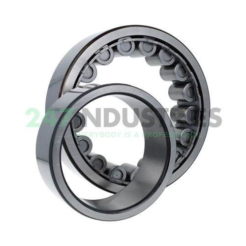 NU2224ECJ SKF Image 2