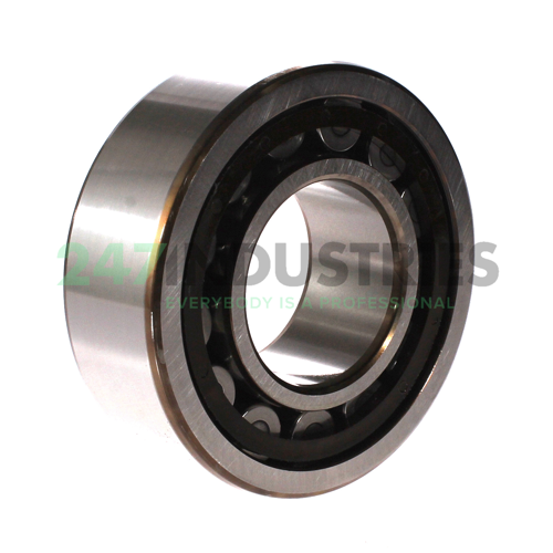 NJ2313ECP/C3 SKF Image 2