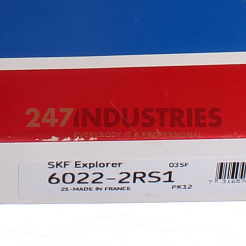 6022-2RS1 SKF Image 5